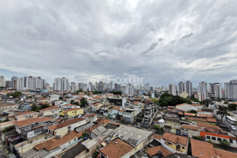 Image 35 - 1035980
