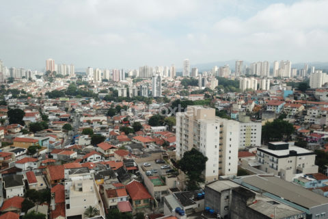 Image 45 - 1035983