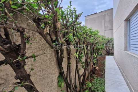 Image 31 - 1035983