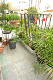 Image 30 - 1036046