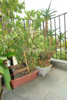 Image 31 - 1036046