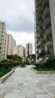 Image 33 - 1036046