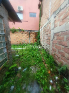 Image 6 - 1036286
