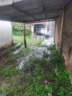 Image 11 - 1036286