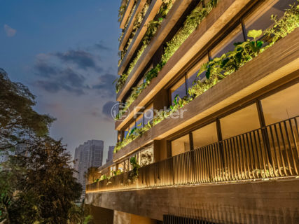 Image 41 - 1036319