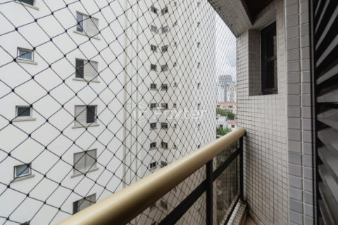 Image 34 - 1036341