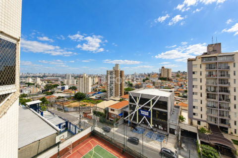 Image 8 - 1036362