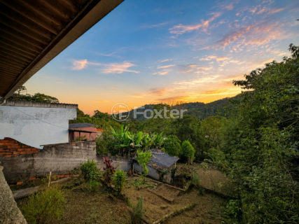 Image 31 - 1036365