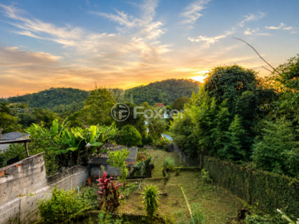 Image 30 - 1036365
