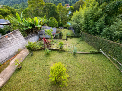 Image 29 - 1036365