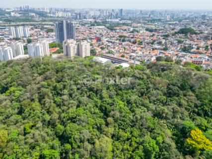 Image 14 - 1036375