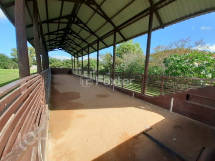 Image 37 - 1036393