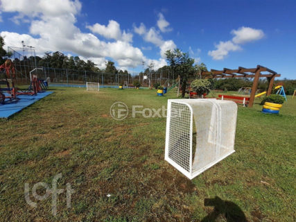 Image 31 - 1036393