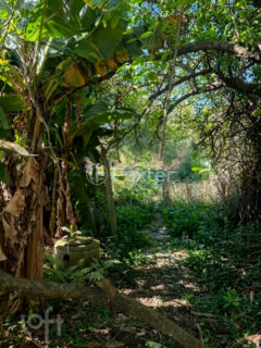Image 14 - 1036532