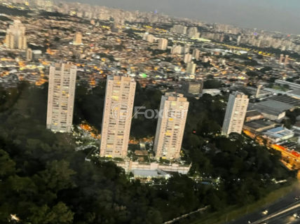 Image 37 - 1036662