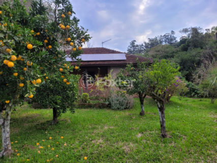 Image 35 - 1036663