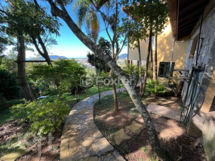 Image 4 - 1036664