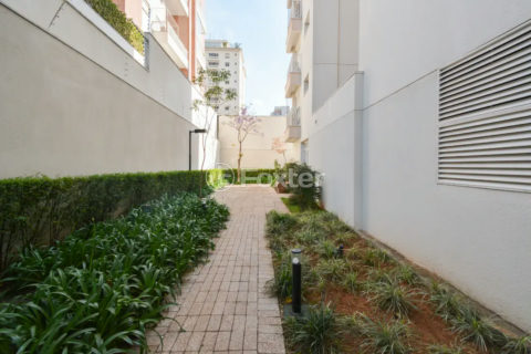 Image 55 - 1036697