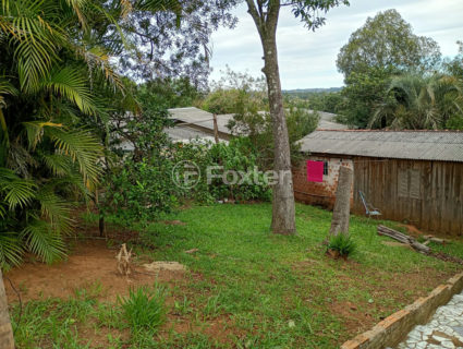 Image 2 - 1036703
