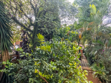 Image 36 - 1036715