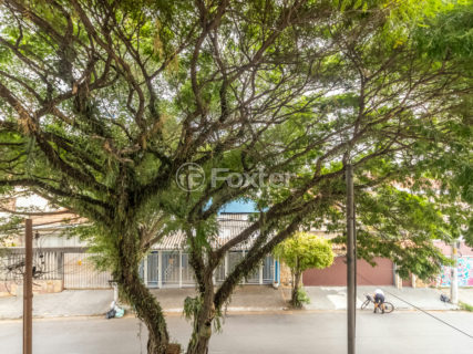 Image 31 - 1036716