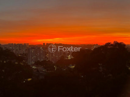 Image 57 - 1036726