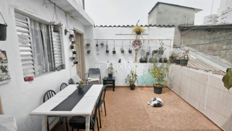 Image 35 - 1036728