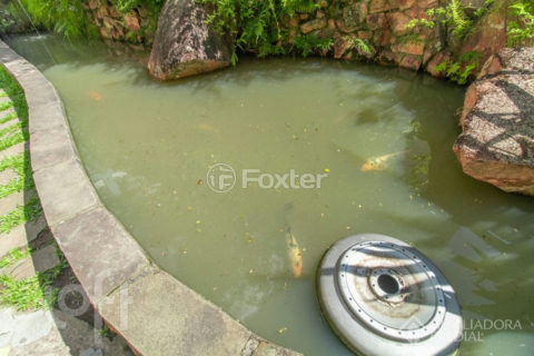 Image 9 - 1036756