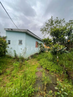 Image 11 - 1036761