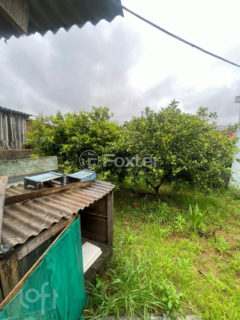 Image 10 - 1036761