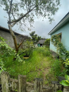 Image 9 - 1036761
