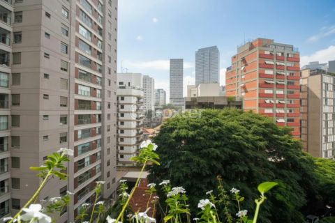 Image 10 - 1036843