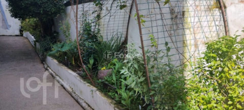 Image 10 - 1036984