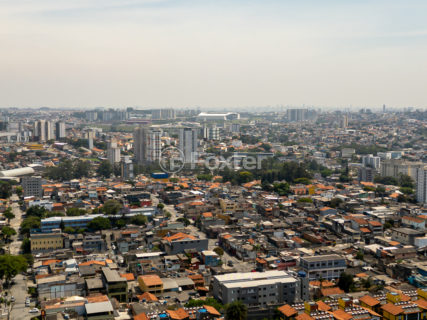 Image 29 - 1037088