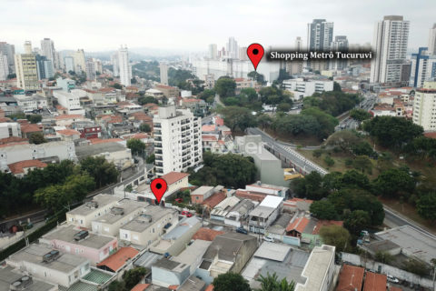 Image 39 - 1037119