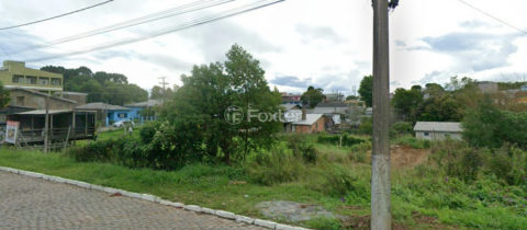 Image 2 - 1037146