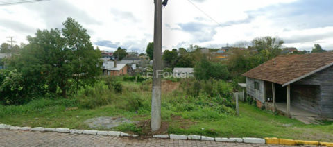 Image 4 - 1037146