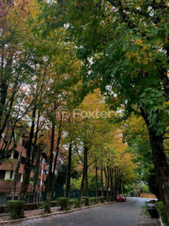 Image 5 - 1037159