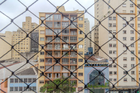 Image 24 - 1037167