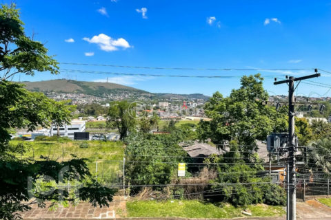 Image 35 - 1037224