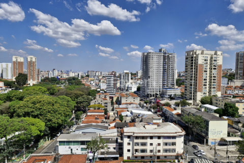 Image 34 - 1037238