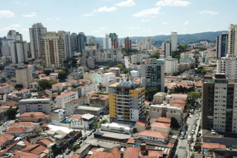 Image 39 - 1037238
