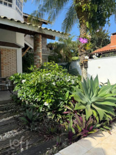 Image 30 - 1037249
