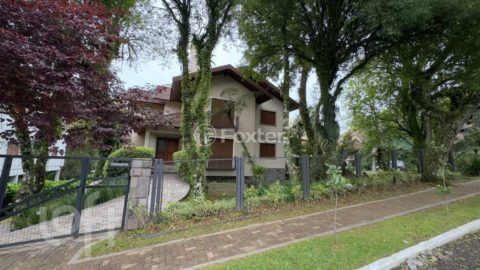 Image 41 - 1037383