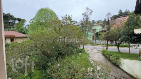 Image 36 - 1037383