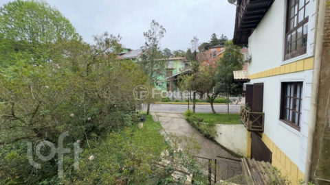 Image 37 - 1037383