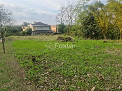 Image 2 - 1037391
