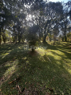 Image 13 - 1037395