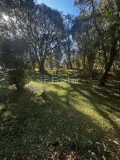 Image 14 - 1037395