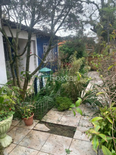 Image 2 - 1037432